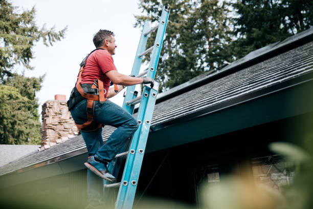 Best Steel Roofing  in Maple Park, IL